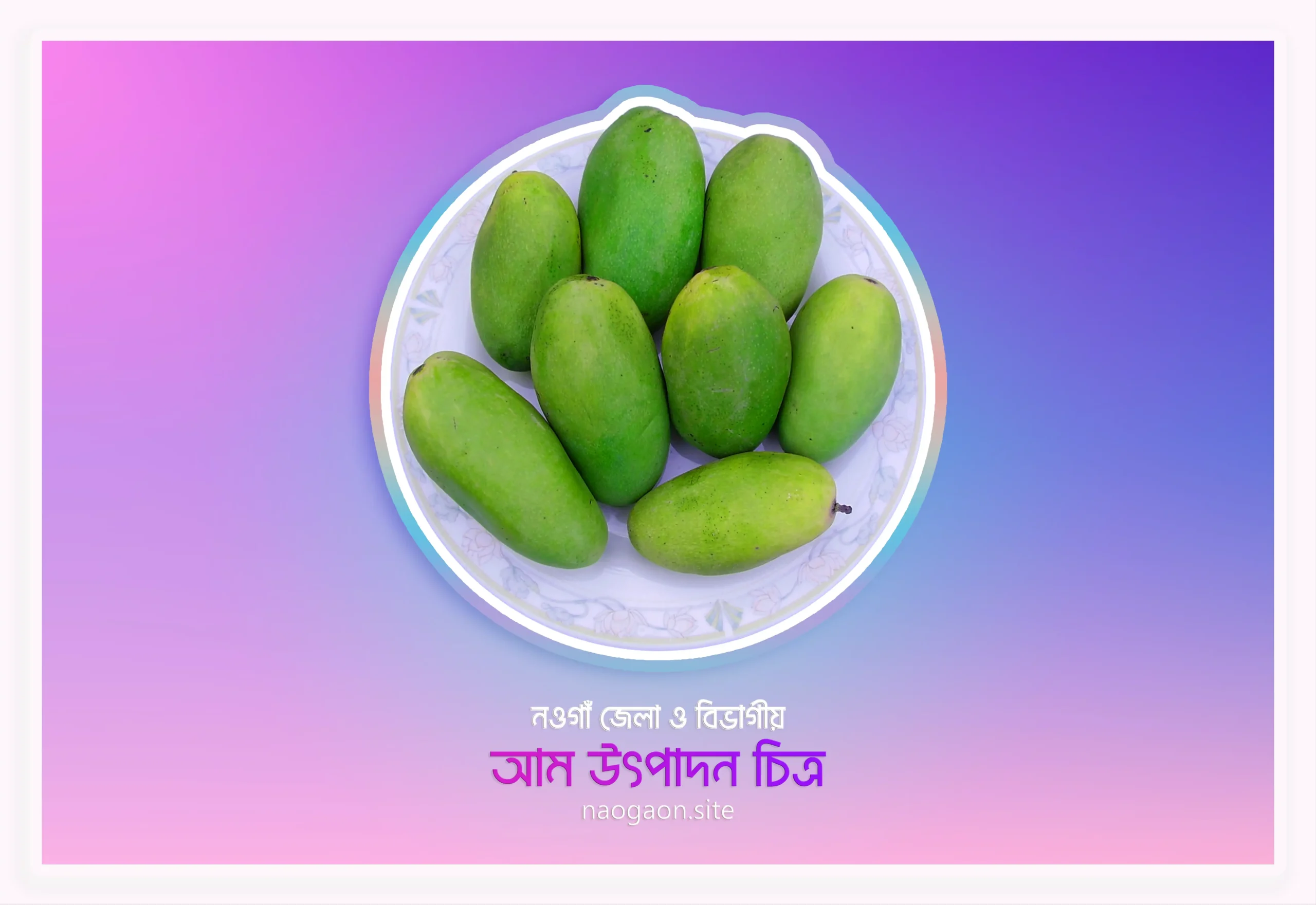 Mango Production Statistics - Naogaon & Rajshahi Division.