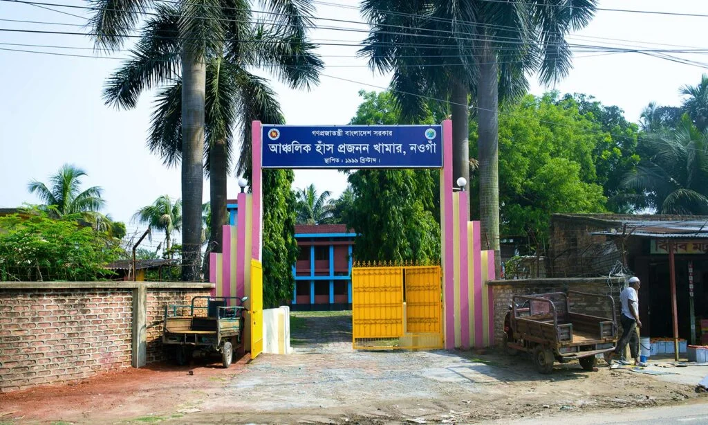 The state-run Regional Duck Breeding Farm (নওগাঁ আঞ্চলিক হাঁস প্রজনন খামার) situated on Santahar Road.