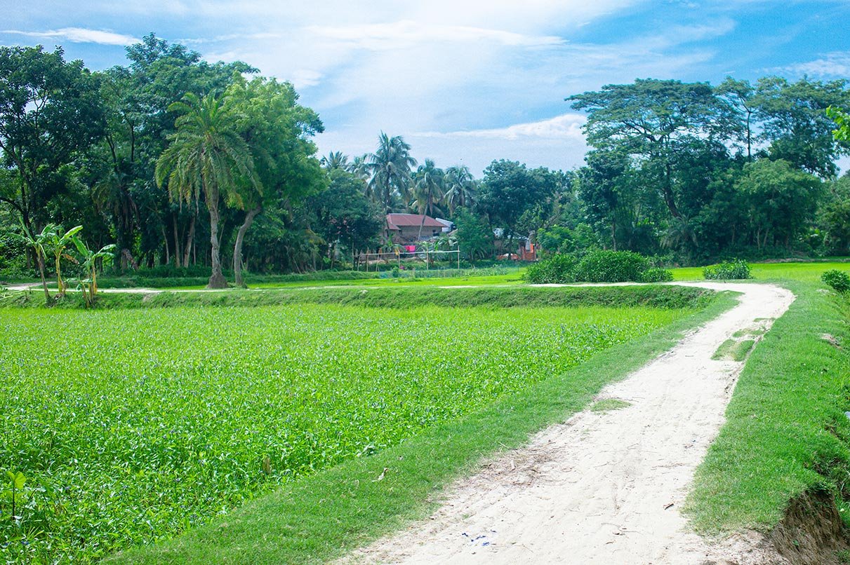 A beautiful village scene in Naogaon Sadar Upazila.