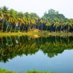 HD picture of a pond with coconut tree reflections in Naogaon Zilla Parishad Park, 2023.