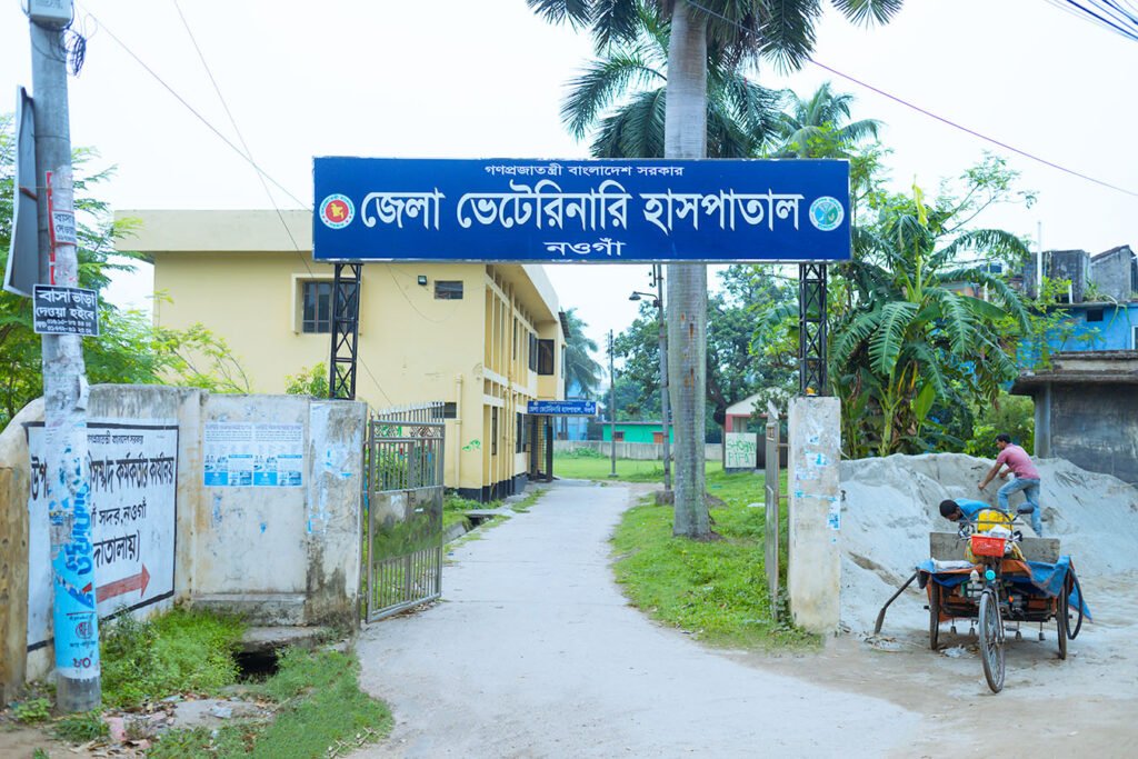 District Veterinary Hospital beside main road, Naogaon, Bangladesh, 2024.