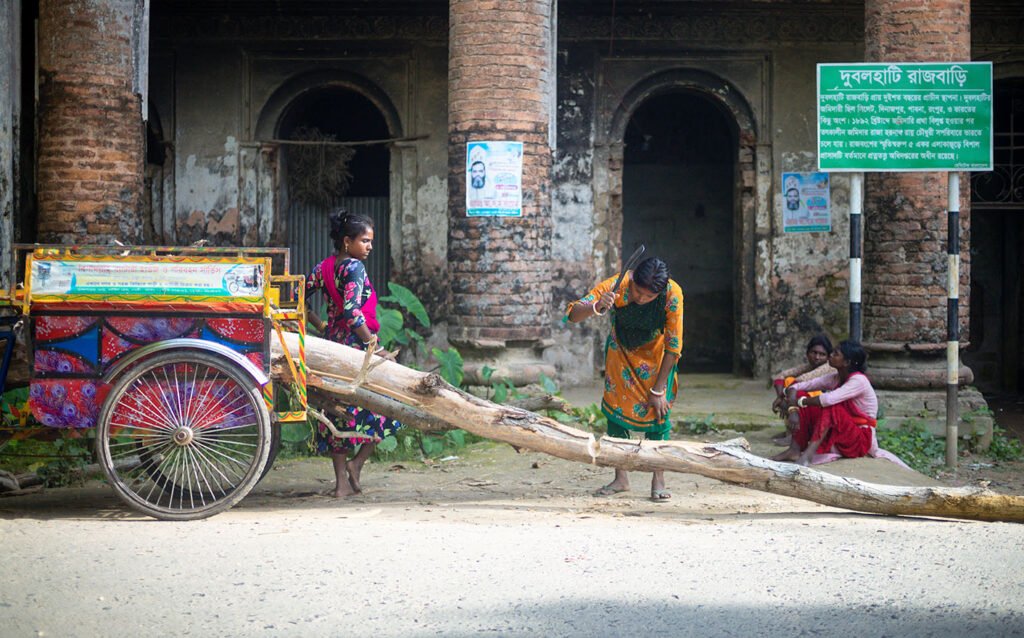 A group of ethnic women collecting firewood in front of Dubolhati Palace, Naogaon - 2023.