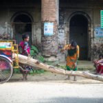 A group of ethnic women collecting firewood in front of Dubolhati Palace, Naogaon - 2023.